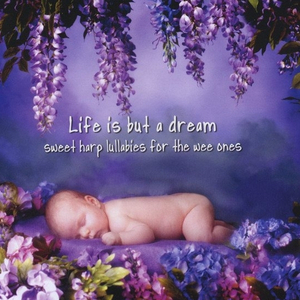 国产大片内射1区2区
